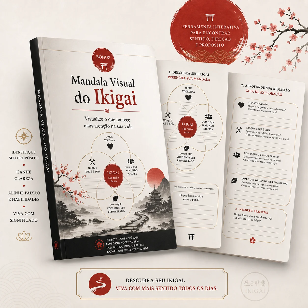 Mandala Visual do Ikigai