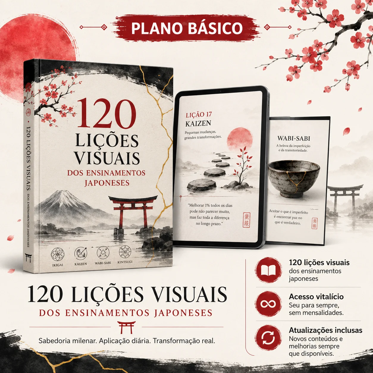 Plano Básico: 120 lições visuais dos ensinamentos japoneses